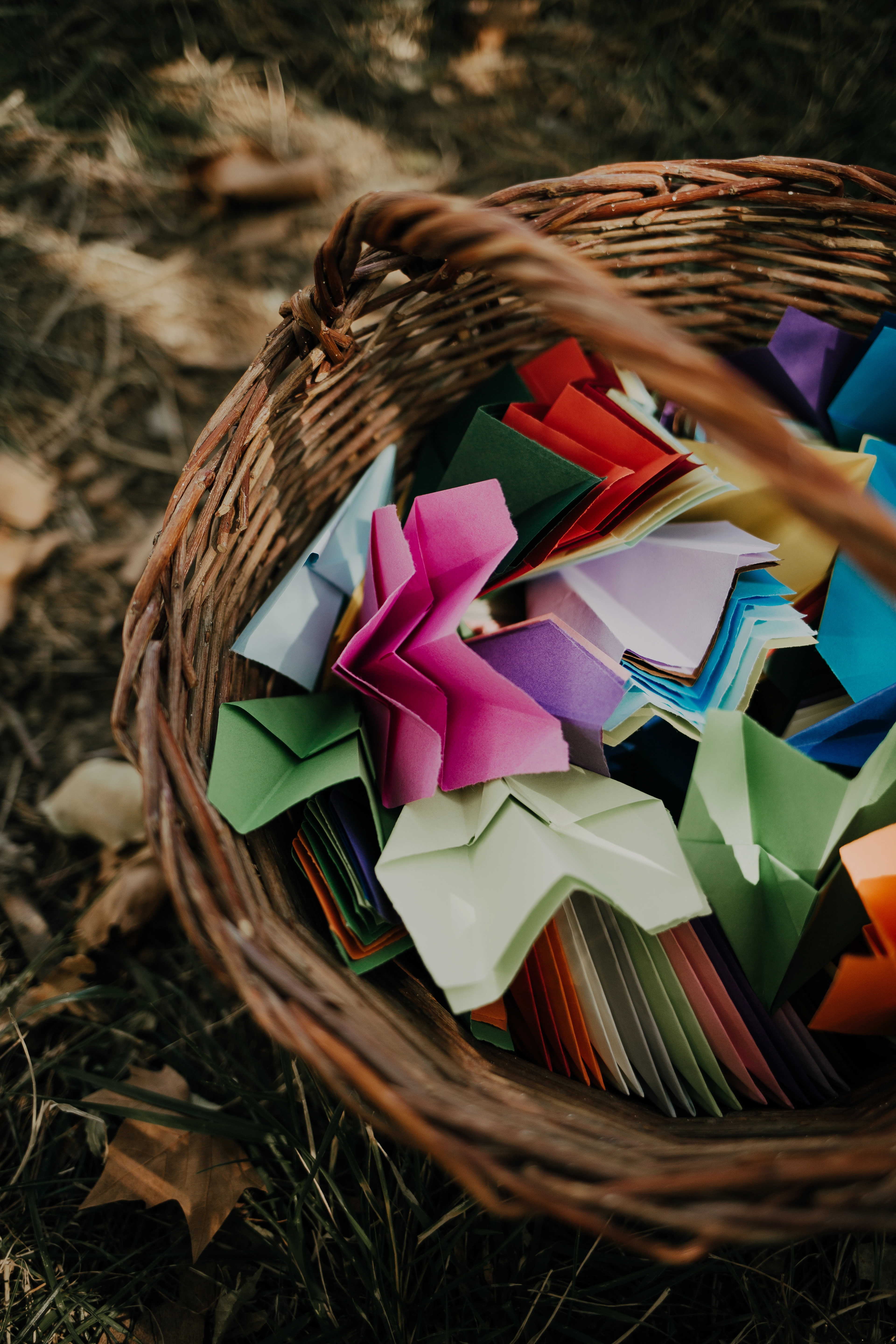 Vue rapprochée du stand Les Petits Prodiges