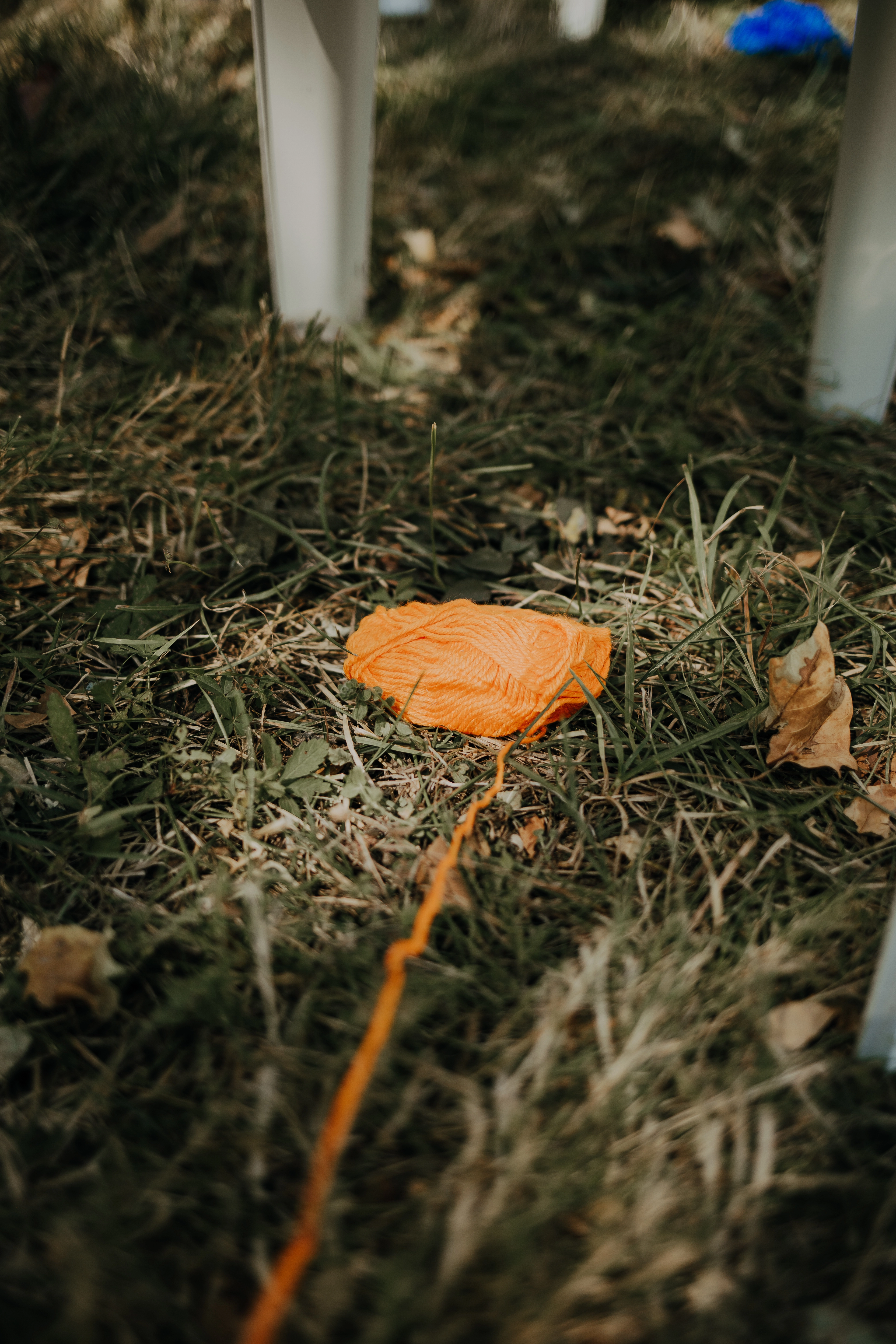 Éléments de scénographie du stand Les Petits Prodiges