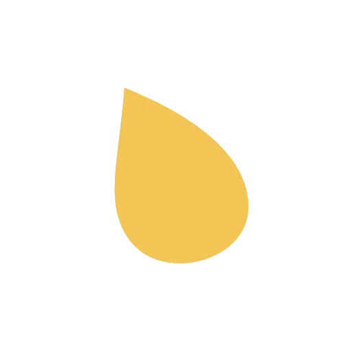 Organisation d'événements à Toulouse et en Occitanie