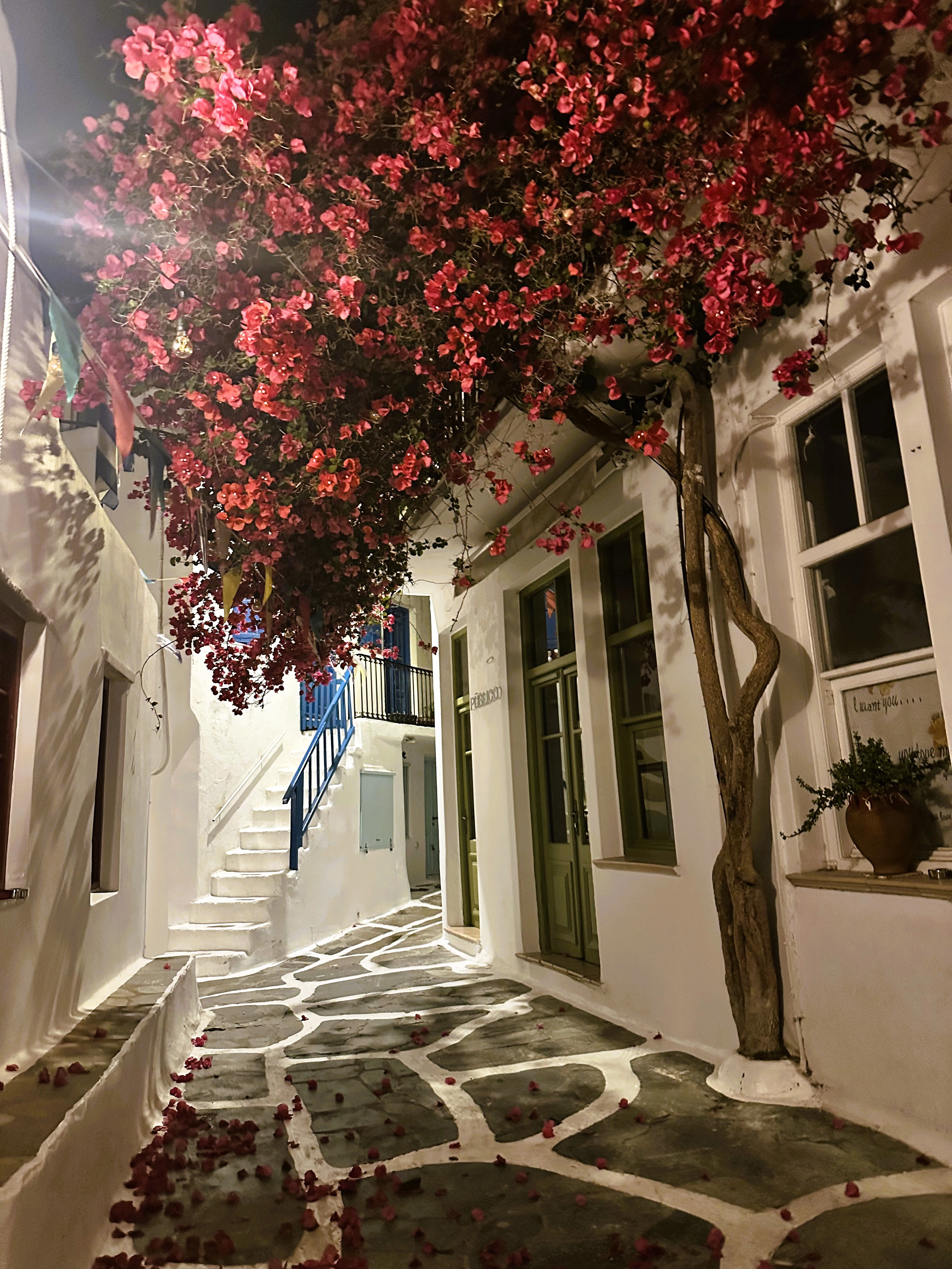 AL events organise un EVG sur mesure à Annecy avec activités et émotions fortes